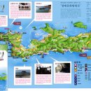 솔향기 이미지