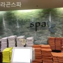 파라곤스파 이미지