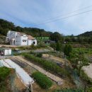 완산-142 이미지