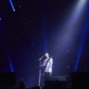 더베인 이미지