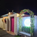 컴페니언바이주문진 이미지