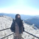 천주산 등산 도로변 | 화악산 등산 후기｜화악 터널 들머리 코스, 중봉까지 + 겨울 썰매 하산 아이와 동반 가능한 초보 코스