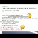 더숄더 어깨교정운동센터 이미지