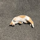 평화농산 이미지