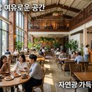 부강초등학교 | 유럽풍 대형 베이커리 카페, 세종 부강면 비단베이커리의 진짜 매력은?