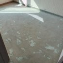 구로하우비 이미지