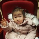 아기공룡 크로롱 이미지