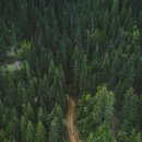 별자리심리 이미지