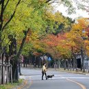 국립김해박물관 화장실앞 이미지