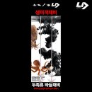 엘디 이미지