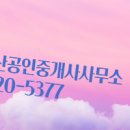 지구부동산공인중개사사무소 이미지