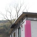 이동공원 화장실 이미지