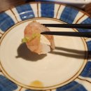 4289 | 대전 탄방동 숙성회 맛집 이자카야 오리진 방문후기 및 삿포로 생맥, 대방어, 참치등