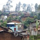 에티오피아13월 이미지