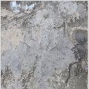 서대산 이미지