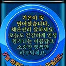 야물
