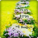 홍천부동산공인중개사사무소 이미지