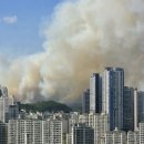 대구매천초등학교 이미지