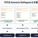 세이프가드