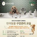 동물치과병원메이 이미지