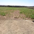 중인보건진료소 이미지