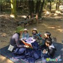 자연속으로 이미지