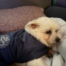 부영노래연습장 이미지