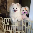 고은미즈의원 이미지