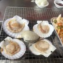 웨이브 호텔펜션 | 🌊 대부도 선착장에서 즐기는 신선한 바다 맛 — 동환네 조개구이 후기, 노포