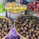 [나트랑 담시장] 나이키/원피스 쇼핑 + 과일 맛집 흥정 TIP(나트랑에서 망고스틴 가장 저렴한곳)