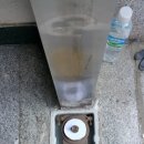 강화부식 이미지