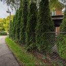 Whitby Townhouse 3 bed + 3 bath + basement (윗비 타운하우스 전체 렌탈) $3,800 이미지