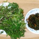 인천의 섬 이야기 이미지