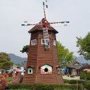 곡성 섬진강 기차마을 이미지