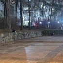 재해문자전광판 | 2503-02/2504-01