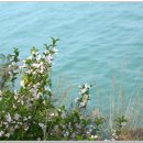 국사봉 누리길 이미지