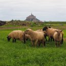 몽 생 미셸(Mont Saint Michel) 이미지