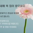 몬스터카매니아