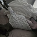 뛰댕길겨 미용할겨 이미지