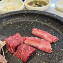 우일 | 독산동 우시장 맛집 우일정육식당 내돈내산 후기