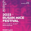 마이스 이미지