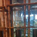 카페디오 이미지