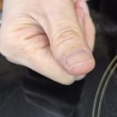 비비앤팜