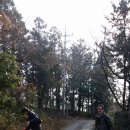 블루포니 게스트하우스 이미지