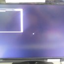 바이러스게임방 이미지