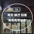 똑똑독 펫살롱 이미지