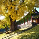 능주향교 이미지