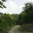 부성농장 이미지