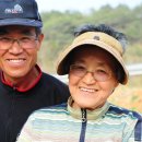 배일치 농장 이미지