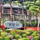 인천종합동물병원 맞은편 횡단보도(동인천역북광장) | 인천광역시 둘레길(14코스)